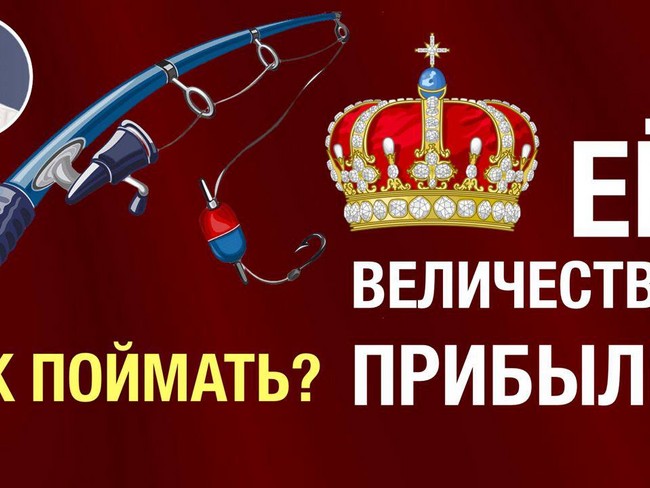 Как поймать Её Величество ПРИБЫЛЬ?